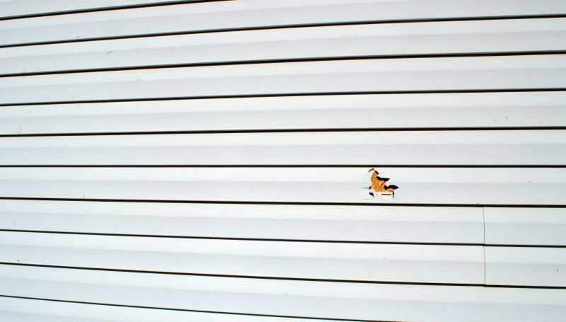 Completed Vinyl Siding Project